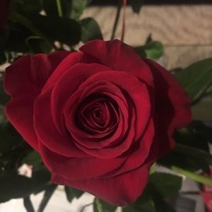 Meet your Posher, Humaa